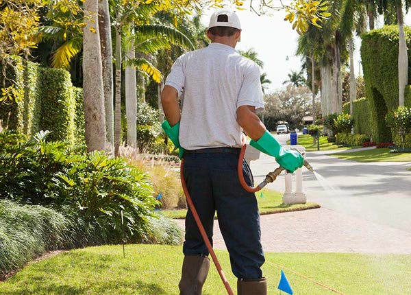 About Attica KS Pest Control